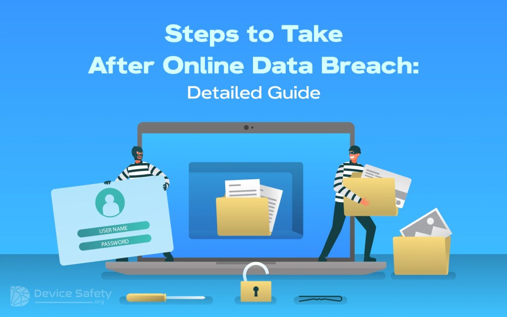 Steps to Take After Online Data Breach: Detailed&nbsp;Guide